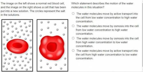 Which statement describes the motion of the water molecules in this situation?
