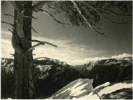 What do these pictures tell you about the man Ansel Adams?