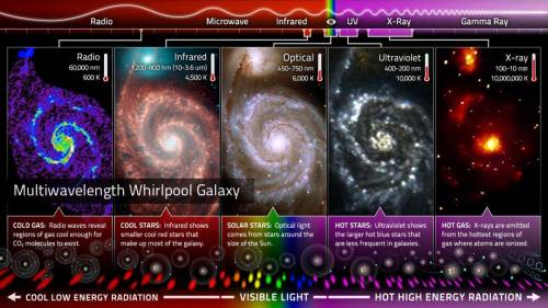 1. Identify a feature of the Whirlpool Galaxy that is visible in all or several types of light. Exp