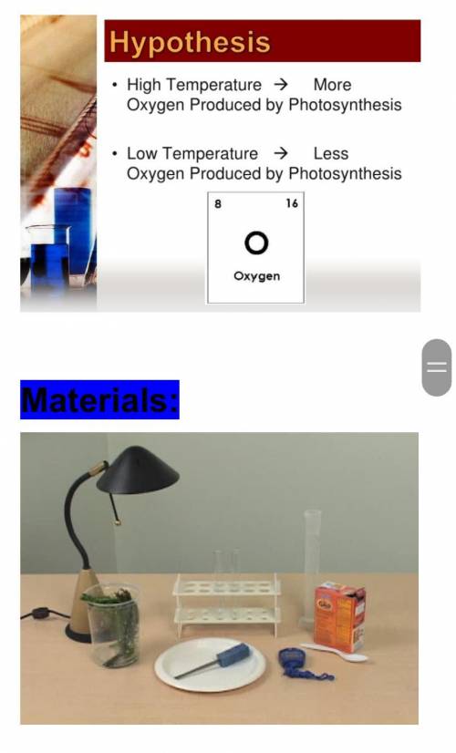 Can anyone help me with photosynthesis? (2 questions)