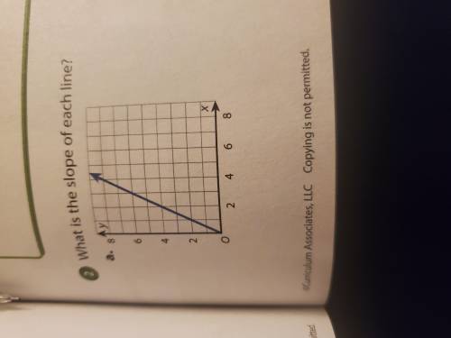 What is the slope of each line