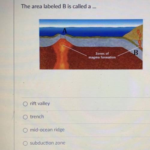 The area labeled B is called what?

1. rift valley 
2. trench
3. mid-ocean ridge
4. subduction zon