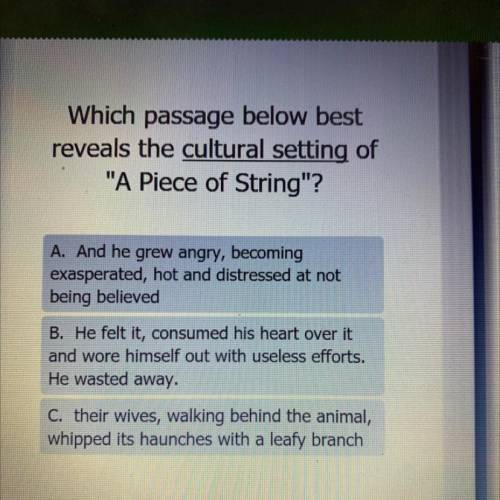 Which passage below best

reveals the cultural setting of
A Piece of String?
A. And he grew angr