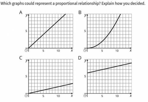 Which graphs could represent a proportional relationship? Explain how you decided.