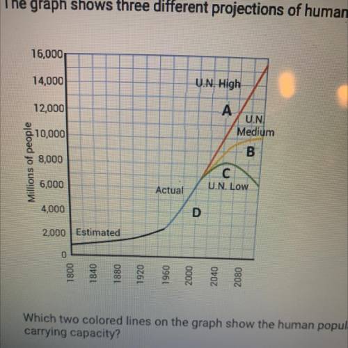 The graph shows three different projections of human population growth.

16,000
14,000
U.N. High
1