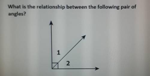 What is the relationship between the following pair of angles.

 A. Linear PairB. Vertical Angles.