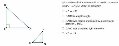 Triangles A B C and N M L are shown. Angles B A C and L N M are right angles.

What additional inf