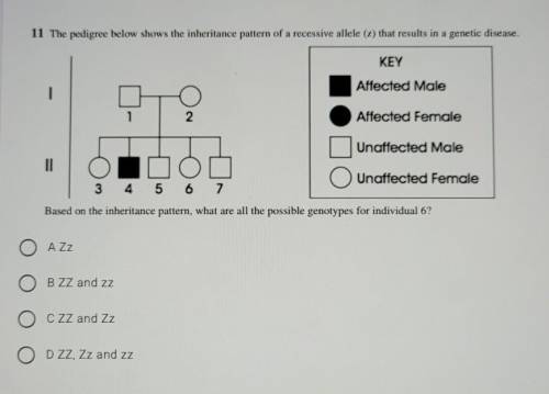 The pedigree below shows the inheritance pattern of a recessive allele (z) that results in a geneti
