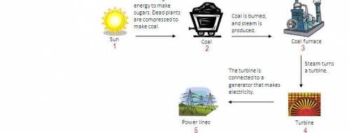 HELP

Between steps 2 and 3, the chemical energy in the coal is converted to
electrical en