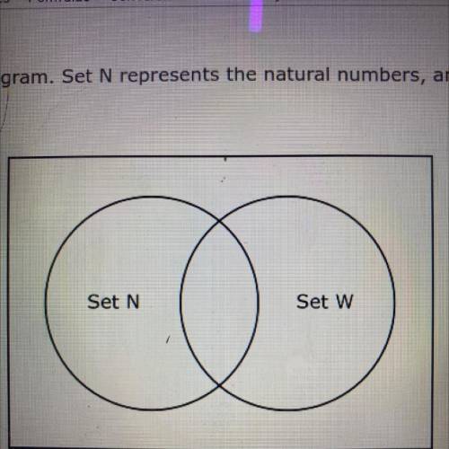 Two sets are shown in the Venn diagram. Set N represents the natural numbers, and Set W represents