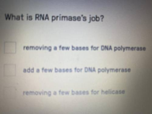 What is RNA primase's job?

-removing a few bases for DNA polymerase
-add a few bases for DNA poly