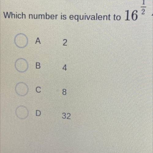PLEASE HELP

Which number is equivalent to 16 1/2 
A. 2 
B. 4 
C. 8 
D. 32