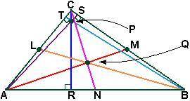 Name the following segment or point.

Given:L, M, N are midpointsaltitude to ACsegment BTsegment A