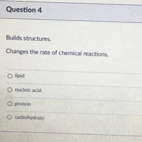 PLEASE HELP ME 10 POINTS Builds structures.
Changes the rate of chemical reactions,