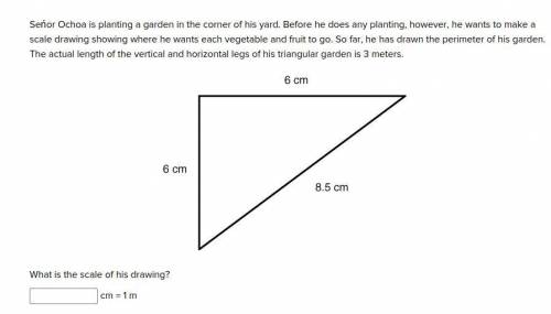 Please help im lost and dont understand this