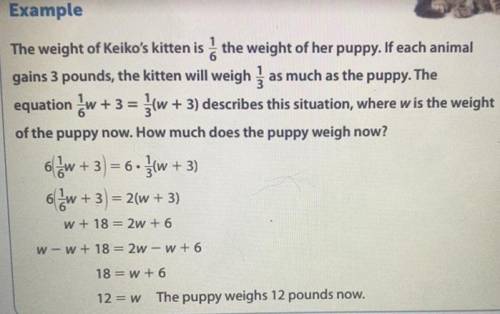(Look at the photo)

—
In the Example, how much will the kitten weigh if it gains 3 pounds?
Show y