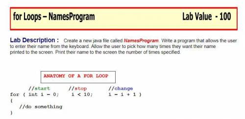 Write a program that allows the user to enter their name from the keyboard. Allow the user to pick
