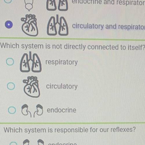 *WILL MARK BRAINIST*

Which body system is not directly connected to itself?
O respiratory
O circu