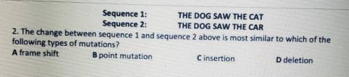 Sequence 1: THE DOG SAW THE CAT Sequence 2: THE DOG SAW THE CAR 2. The change between sequence 1 an