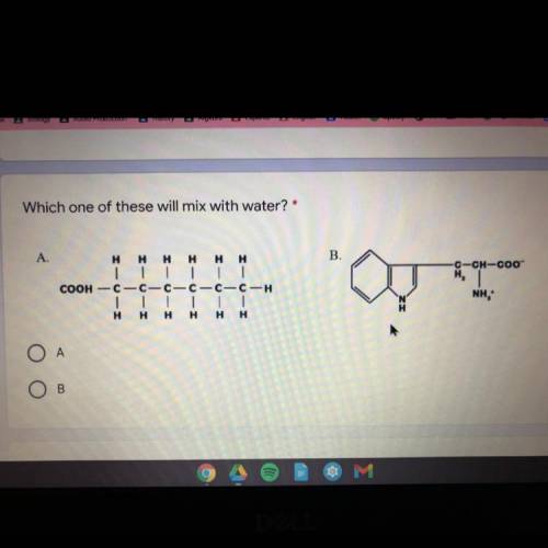 Please help quick i am not sure
