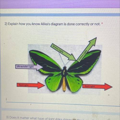 Please help!! Explain how you know Alika's diagram is done correctly or not