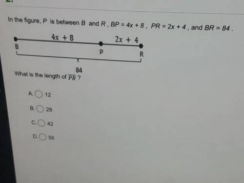 I need help on this, please.