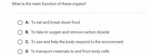 What is the main function of these organs?