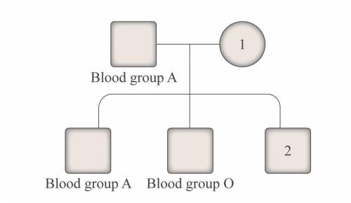 The pedigree chart below shows the blood types of three members of a family.

Which could be the b
