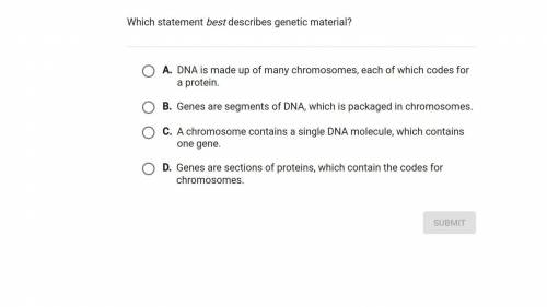 Which statement best describe genetic marital