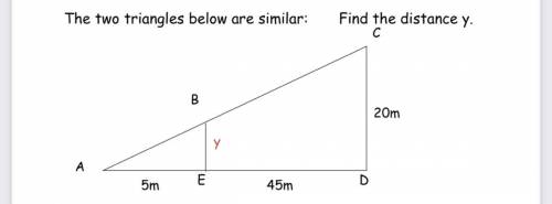 The two triangle below are Similar:
Find the distance y.