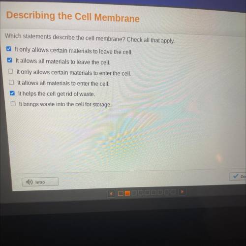 Which statements describe the cell membrane? Check all that apply