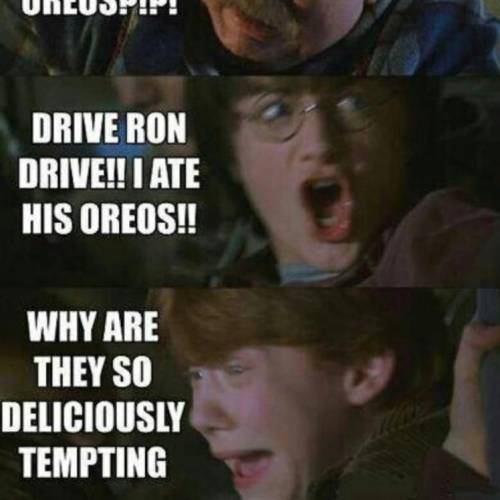 Funny Harry Potter meme