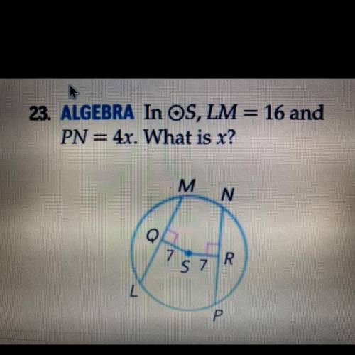 In •S, LM=16 and and PN=4X. What is X? Pls help