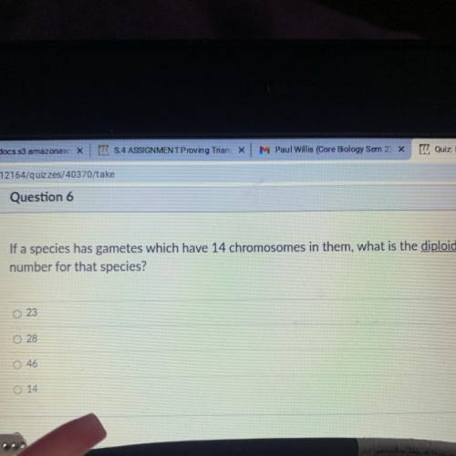 If a species has gametes which have 14 chromosomes in them, what is the diploid

number for that s