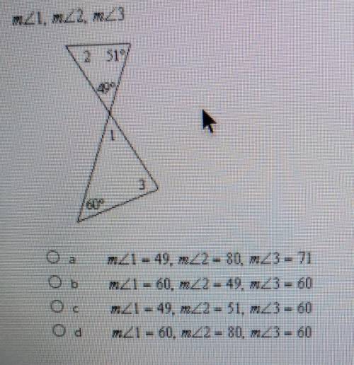 I need help its the triangle sum theorem