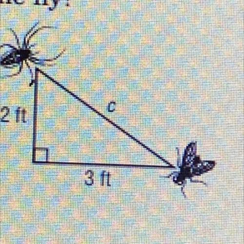 HELP ASAP: How far apart are the spider and the fly?(it needs to be written in a equation, then rou