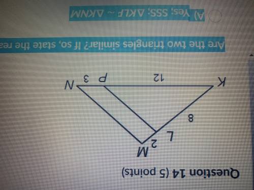 Are the two triangles similar? If so, state the reason and the similarity statement.

Question 14
