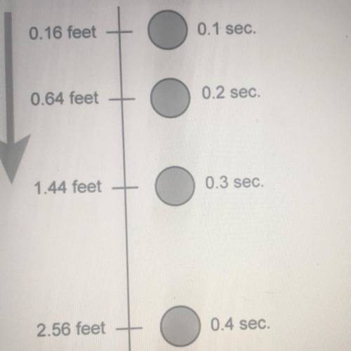 The diagram shows a falling ball.

What was the average speed of the ball, in feet per
second to t