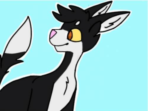 I finally finished this drawing of Talltail/Tallstar what do ya'll think?
