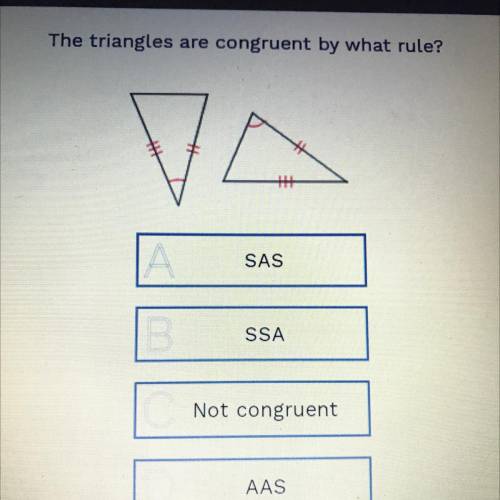 The triangles are congruent by what rule?
SAS
SSA
Not congruent
AAS