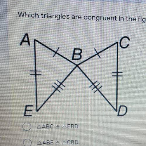 Which triangles are congruent in the figure
