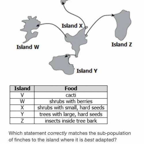 Which statement correctly matches the sub-population of finches to the island where it is best adap