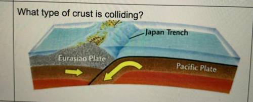 What type of crust is colliding?
Japan Trench
Eurasian Plate
Pacific Plate