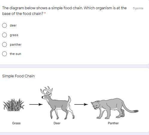 Help = brainlist please