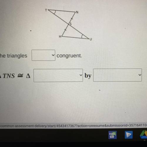 Is this congruent or not congruent? And is this

SSS
SAS
SSA
AAS
ASA
HL 
PLEASE HELP, I will brain