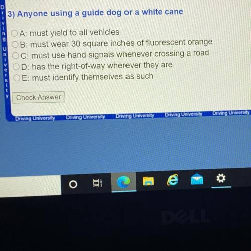 Anyone using a guide dog or a white cane?