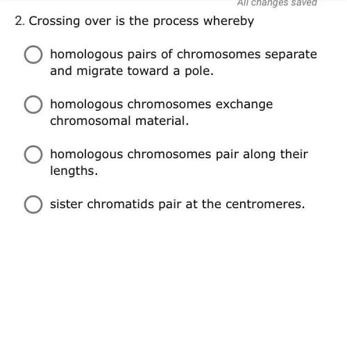 The process seen below creates sister chromatids that are