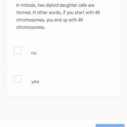 In mitosis, two diploid daughter cells are formed. In other words, if you start with 46 chromosomes