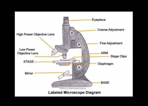 Direction: Identify the parts of the microscope.

AHB-CDMFGJ— КLplease answer thiss​