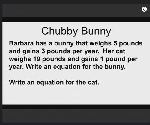 I need help on having a equations for the bunny and the cat.